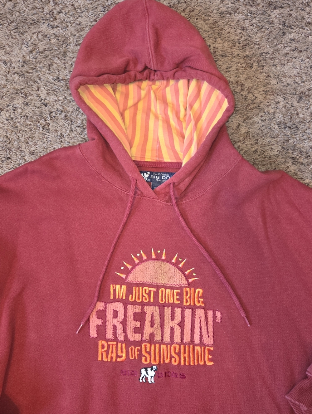Vintage Big Dogs Hooded Sweatshirt with Striped Liner
